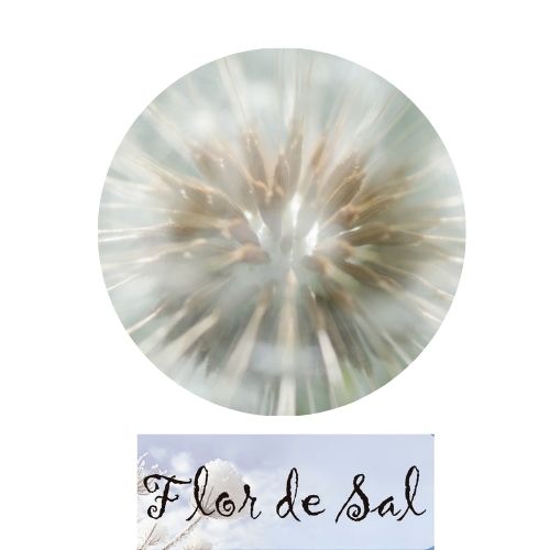 Flor de Sal